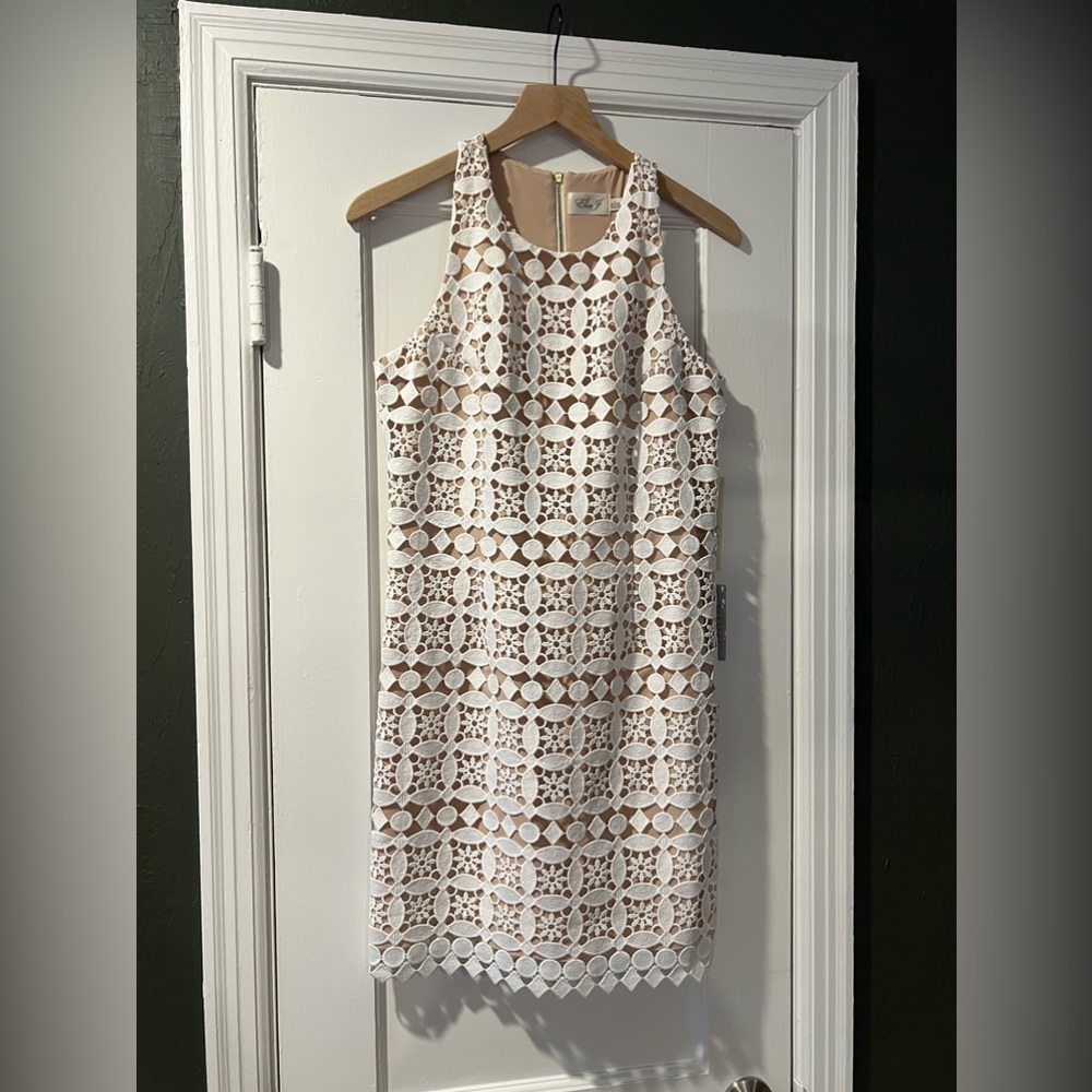 Eliza J shift dress size 8 NWT
